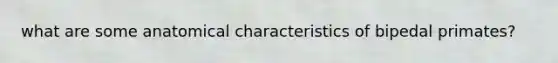 what are some anatomical characteristics of bipedal primates?