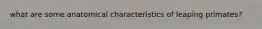 what are some anatomical characteristics of leaping primates?