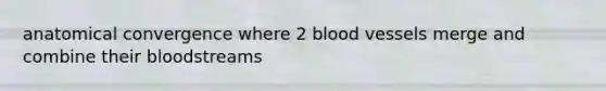 anatomical convergence where 2 blood vessels merge and combine their bloodstreams