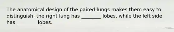 The anatomical design of the paired lungs makes them easy to distinguish; the right lung has ________ lobes, while the left side has ________ lobes.
