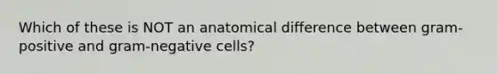 Which of these is NOT an anatomical difference between gram-positive and gram-negative cells?