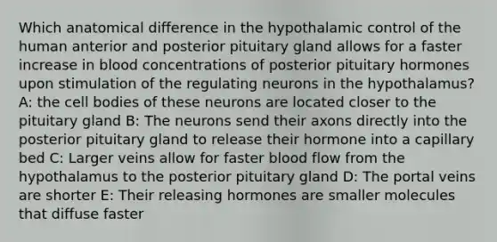 Which anatomical difference in the hypothalamic control of the human anterior and posterior pituitary gland allows for a faster increase in blood concentrations of posterior pituitary hormones upon stimulation of the regulating neurons in the hypothalamus? A: the cell bodies of these neurons are located closer to the pituitary gland B: The neurons send their axons directly into the posterior pituitary gland to release their hormone into a capillary bed C: Larger veins allow for faster blood flow from the hypothalamus to the posterior pituitary gland D: The portal veins are shorter E: Their releasing hormones are smaller molecules that diffuse faster