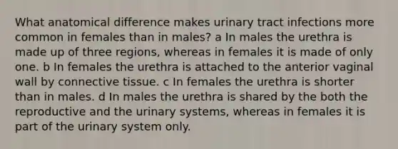 What anatomical difference makes urinary tract infections more common in females than in males? a In males the urethra is made up of three regions, whereas in females it is made of only one. b In females the urethra is attached to the anterior vaginal wall by connective tissue. c In females the urethra is shorter than in males. d In males the urethra is shared by the both the reproductive and the urinary systems, whereas in females it is part of the urinary system only.