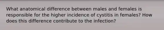 What anatomical difference between males and females is responsible for the higher incidence of cystitis in females? How does this difference contribute to the infection?