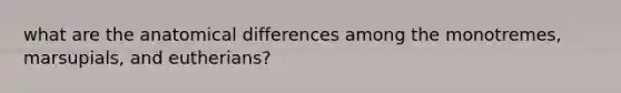 what are the anatomical differences among the monotremes, marsupials, and eutherians?