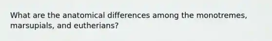 What are the anatomical differences among the monotremes, marsupials, and eutherians?