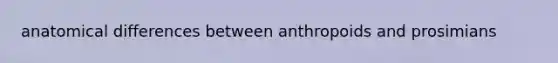 anatomical differences between anthropoids and prosimians