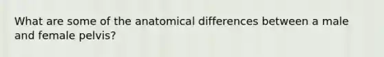 What are some of the anatomical differences between a male and female pelvis?