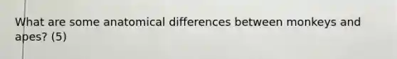 What are some anatomical differences between monkeys and apes? (5)