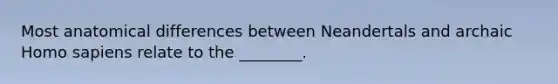 Most anatomical differences between Neandertals and archaic Homo sapiens relate to the ________.