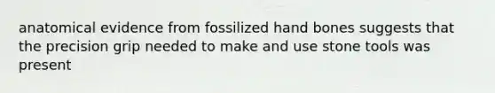 anatomical evidence from fossilized hand bones suggests that the precision grip needed to make and use stone tools was present