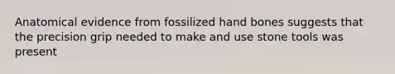 Anatomical evidence from fossilized hand bones suggests that the precision grip needed to make and use stone tools was present