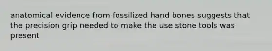 anatomical evidence from fossilized hand bones suggests that the precision grip needed to make the use stone tools was present