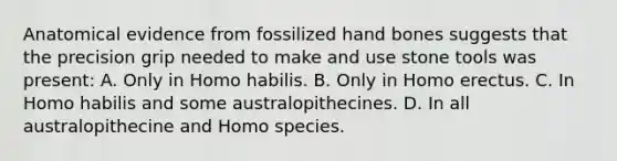 Anatomical evidence from fossilized hand bones suggests that the precision grip needed to make and use stone tools was present: A. Only in Homo habilis. B. Only in Homo erectus. C. In Homo habilis and some australopithecines. D. In all australopithecine and Homo species.