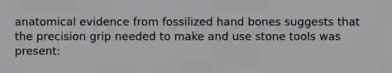 anatomical evidence from fossilized hand bones suggests that the precision grip needed to make and use stone tools was present: