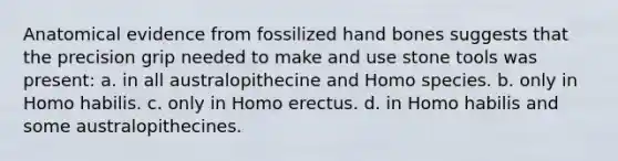 Anatomical evidence from fossilized hand bones suggests that the precision grip needed to make and use stone tools was present: a. in all australopithecine and Homo species. b. only in Homo habilis. c. only in Homo erectus. d. in Homo habilis and some australopithecines.