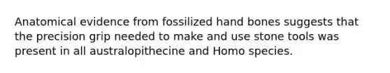 Anatomical evidence from fossilized hand bones suggests that the precision grip needed to make and use stone tools was present in all australopithecine and Homo species.