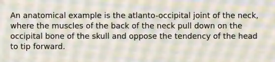 An anatomical example is the atlanto-occipital joint of the neck, where the muscles of the back of the neck pull down on the occipital bone of the skull and oppose the tendency of the head to tip forward.