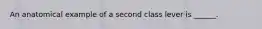 An anatomical example of a second class lever is ______.