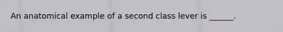 An anatomical example of a second class lever is ______.