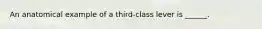 An anatomical example of a third-class lever is ______.