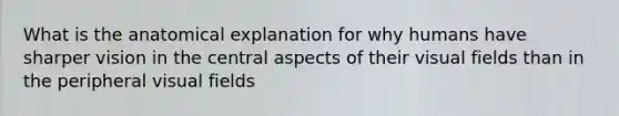 What is the anatomical explanation for why humans have sharper vision in the central aspects of their visual fields than in the peripheral visual fields