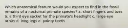 Which anatomical feature would you expect to find in the fossil remains of a nocturnal primate species? a. short fingers and toes b. a third eye socket for the primate's headlight c. large eye orbits d. long legs e. pointy teeth