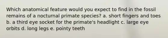 Which anatomical feature would you expect to find in the fossil remains of a nocturnal primate species? a. short fingers and toes b. a third eye socket for the primate's headlight c. large eye orbits d. long legs e. pointy teeth