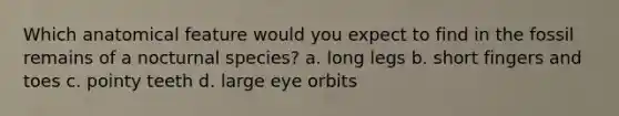 Which anatomical feature would you expect to find in the fossil remains of a nocturnal species? a. long legs b. short fingers and toes c. pointy teeth d. large eye orbits