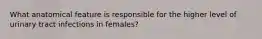 What anatomical feature is responsible for the higher level of urinary tract infections in females?