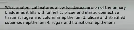 What anatomical features allow for the expansion of the urinary bladder as it fills with urine? 1. plicae and elastic connective tissue 2. rugae and columnar epithelium 3. plicae and stratified squamous epithelium 4. rugae and transitional epithelium