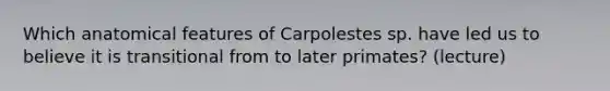 Which anatomical features of Carpolestes sp. have led us to believe it is transitional from to later primates? (lecture)