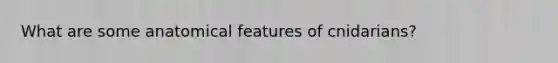 What are some anatomical features of cnidarians?