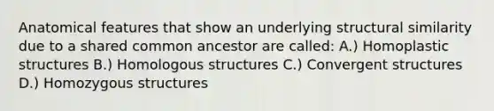 Anatomical features that show an underlying structural similarity due to a shared common ancestor are called: A.) Homoplastic structures B.) Homologous structures C.) Convergent structures D.) Homozygous structures