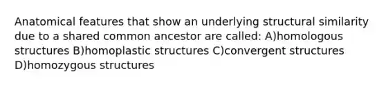 Anatomical features that show an underlying structural similarity due to a shared common ancestor are called: A)homologous structures B)homoplastic structures C)convergent structures D)homozygous structures