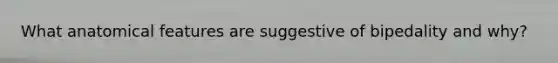 What anatomical features are suggestive of bipedality and why?