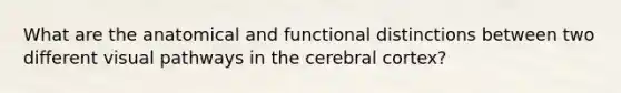 What are the anatomical and functional distinctions between two different visual pathways in <a href='https://www.questionai.com/knowledge/kcT4ZRn753-the-cerebral-cortex' class='anchor-knowledge'>the cerebral cortex</a>?