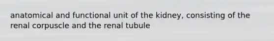 anatomical and functional unit of the kidney, consisting of the renal corpuscle and the renal tubule