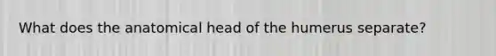 What does the anatomical head of the humerus separate?