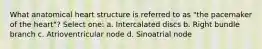 What anatomical heart structure is referred to as "the pacemaker of the heart"? Select one: a. Intercalated discs b. Right bundle branch c. Atrioventricular node d. Sinoatrial node