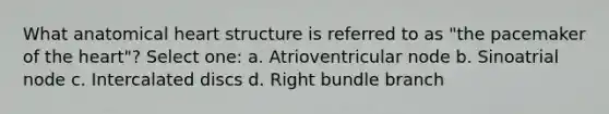 What anatomical heart structure is referred to as "the pacemaker of the heart"? Select one: a. Atrioventricular node b. Sinoatrial node c. Intercalated discs d. Right bundle branch