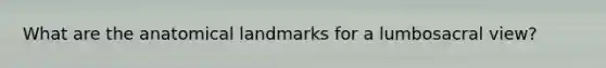 What are the anatomical landmarks for a lumbosacral view?