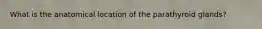 What is the anatomical location of the parathyroid glands?