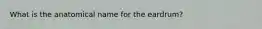 What is the anatomical name for the eardrum?