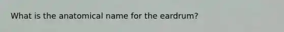 What is the anatomical name for the eardrum?
