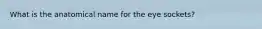 What is the anatomical name for the eye sockets?