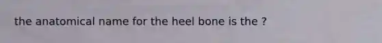 the anatomical name for the heel bone is the ?