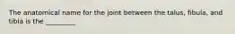 The anatomical name for the joint between the talus, fibula, and tibia is the _________