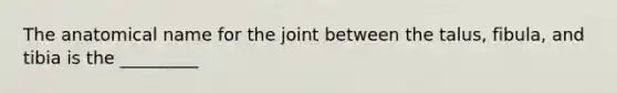 The anatomical name for the joint between the talus, fibula, and tibia is the _________