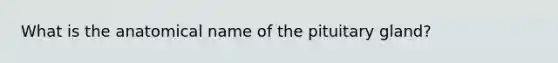 What is the anatomical name of the pituitary gland?